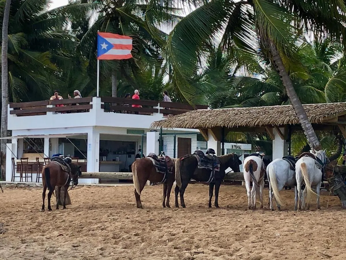 Lucky Luquillo Solar El Yunque & Beach Retreat - 360 Ocean & Rainforest Views Playa Fortuna